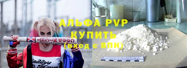 стаф Киренск