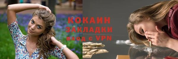 сатива Козловка