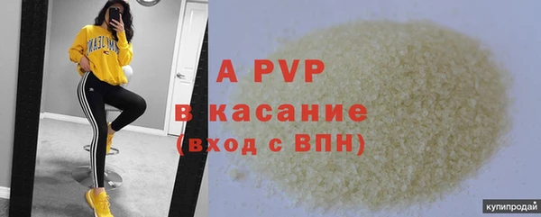 сатива Козловка