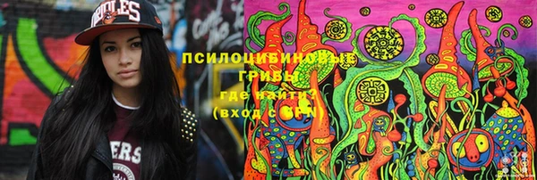 сатива Козловка