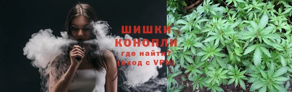 PSILOCYBIN Александровское
