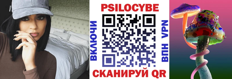 Псилоцибиновые грибы Psilocybe  продажа наркотиков  Тарко-Сале 